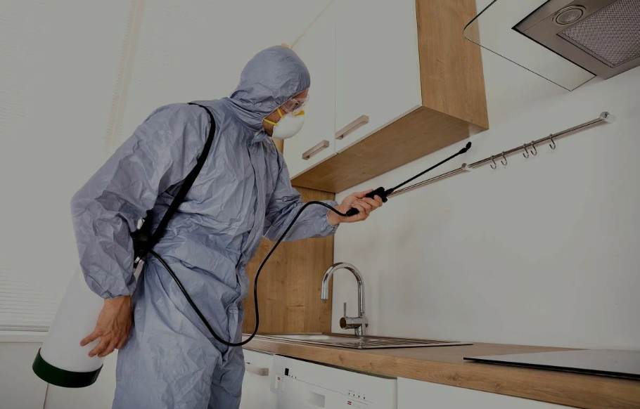 Orangevale pest managment